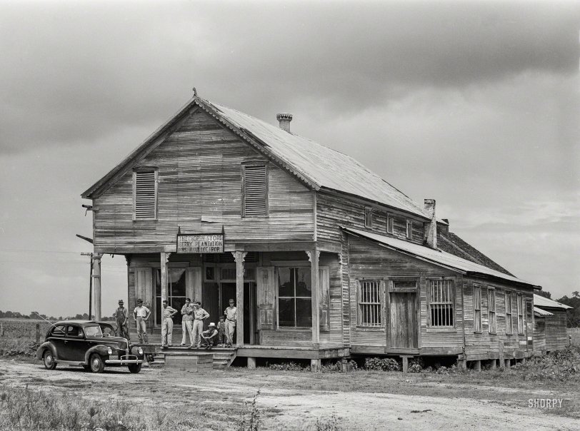 SHORPY 8c12685a.preview SHORPY 8c12685a.preview
