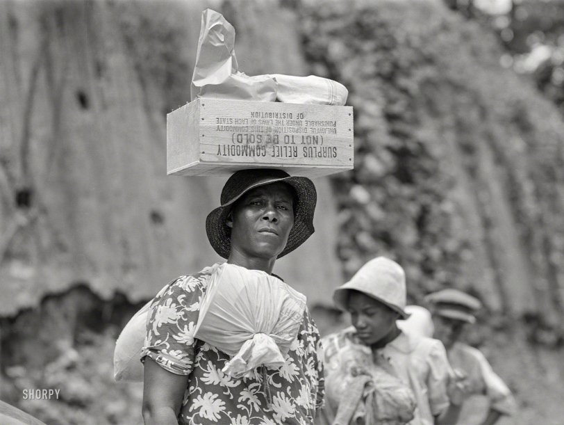 SHORPY 8c12880a.preview SHORPY 8c12880a.preview