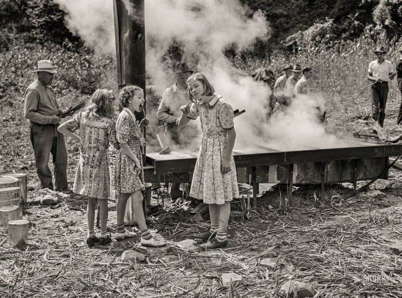 SHORPY 8c13416a.preview