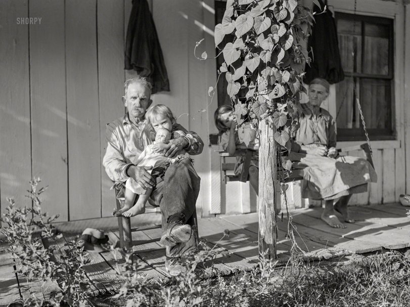 SHORPY 8c13419a.preview