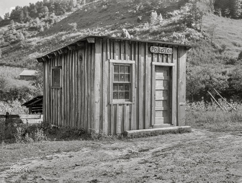 SHORPY 8c13688a.preview