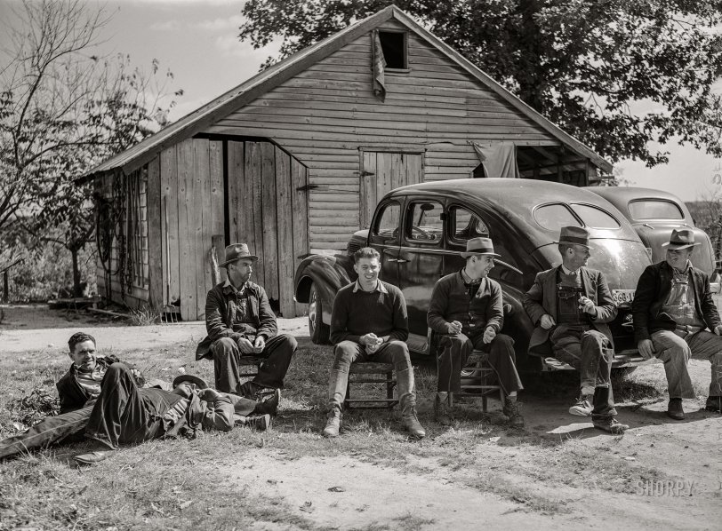 SHORPY 8c14021a.preview SHORPY 8c14021a.preview