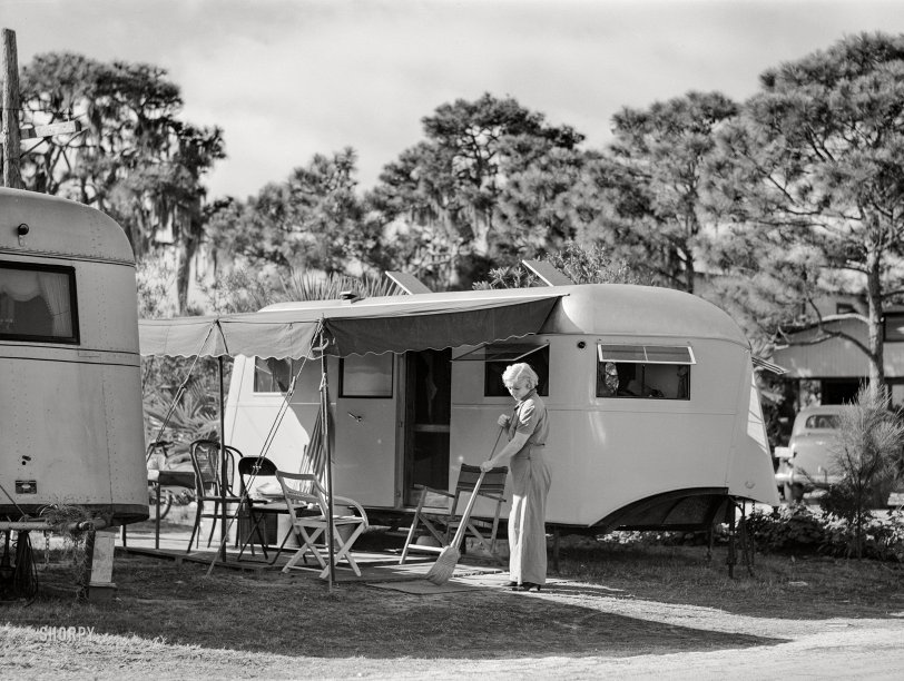 SHORPY 8c14623a.preview