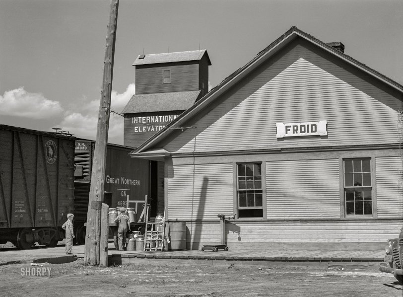 SHORPY 8c15333a.preview