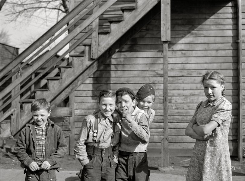 SHORPY 8c16969a.preview SHORPY 8c16969a.preview