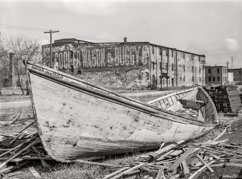 SHORPY 8c17083a.preview