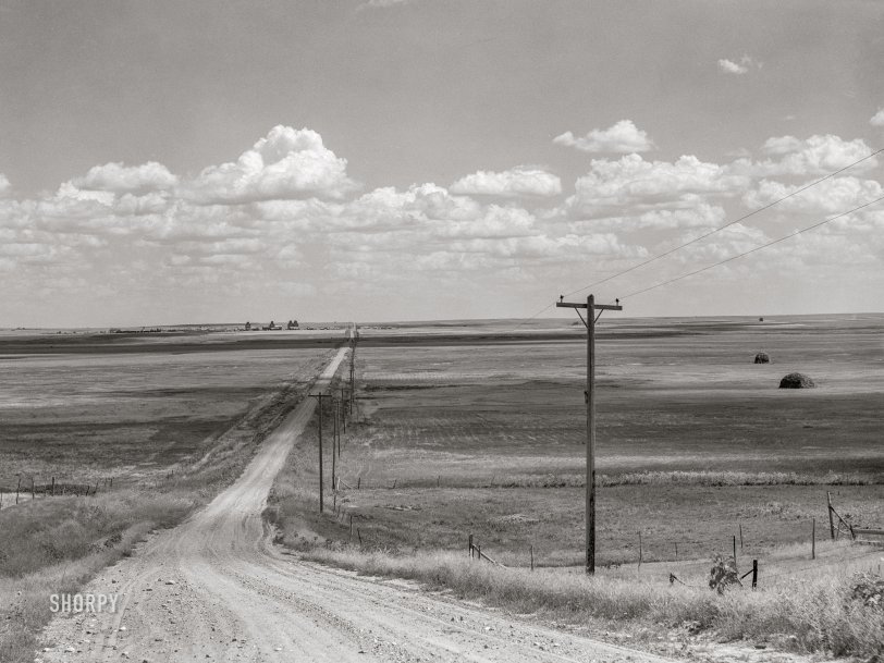 SHORPY 8c35941a.preview