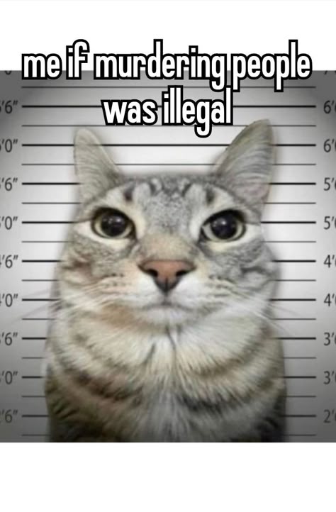 0b6d7098e827a1f782f2e4d39eab9edd