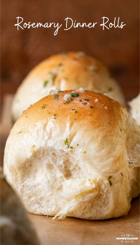 16510fafa52472eca21efc84b6f1e46b