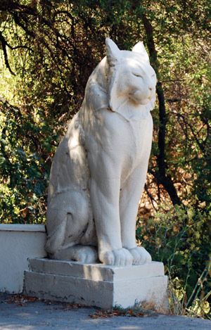 189577e3a9d75d76ec7443cee0b3d570