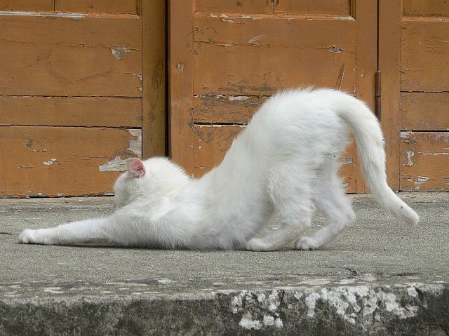 7b4f0d0df9f0d617386127f1a6ce85e5