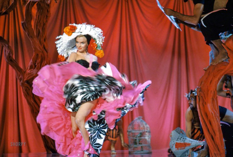 SHORPY 03416u.preview