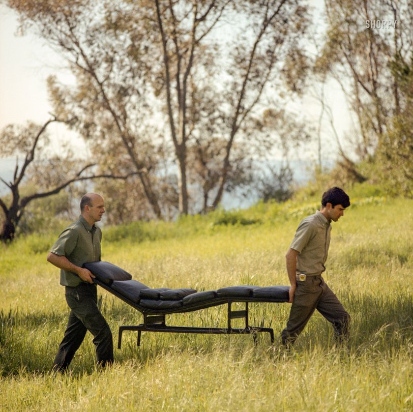 SHORPY 12451u1.preview