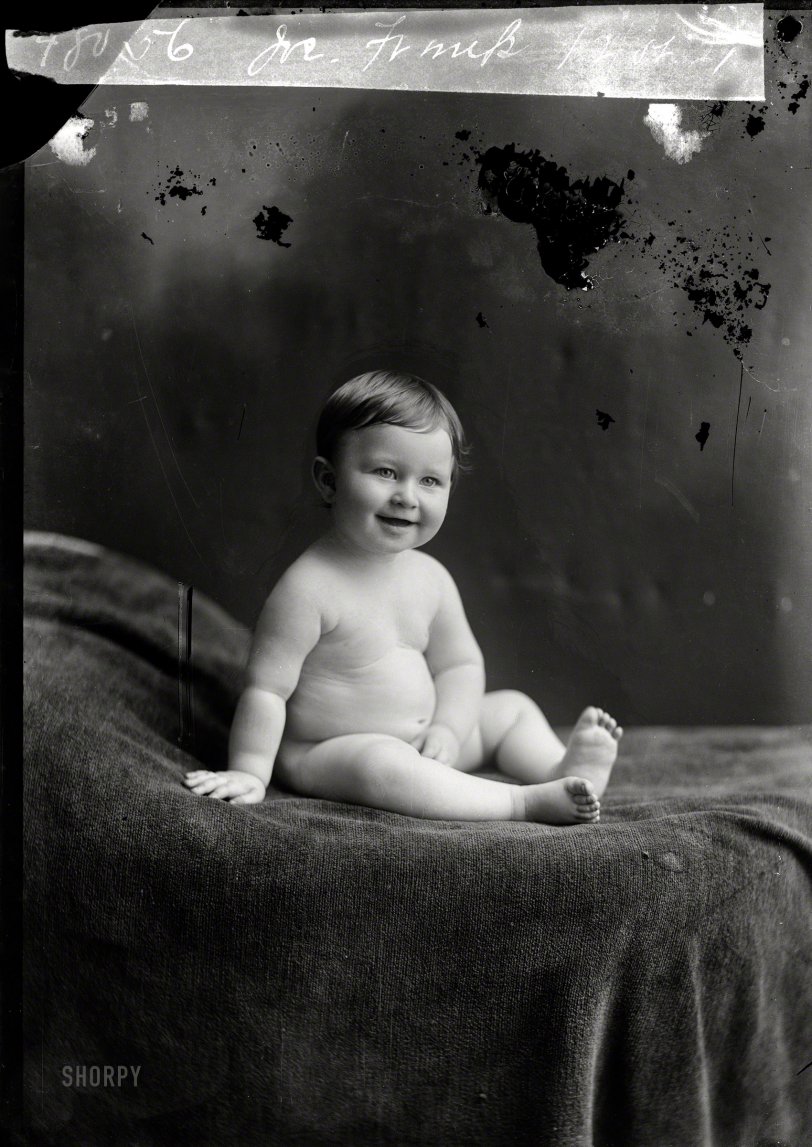 SHORPY 12655a.preview