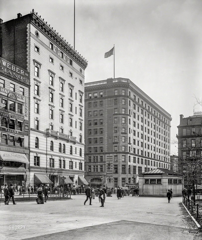 SHORPY 4a11369a.preview