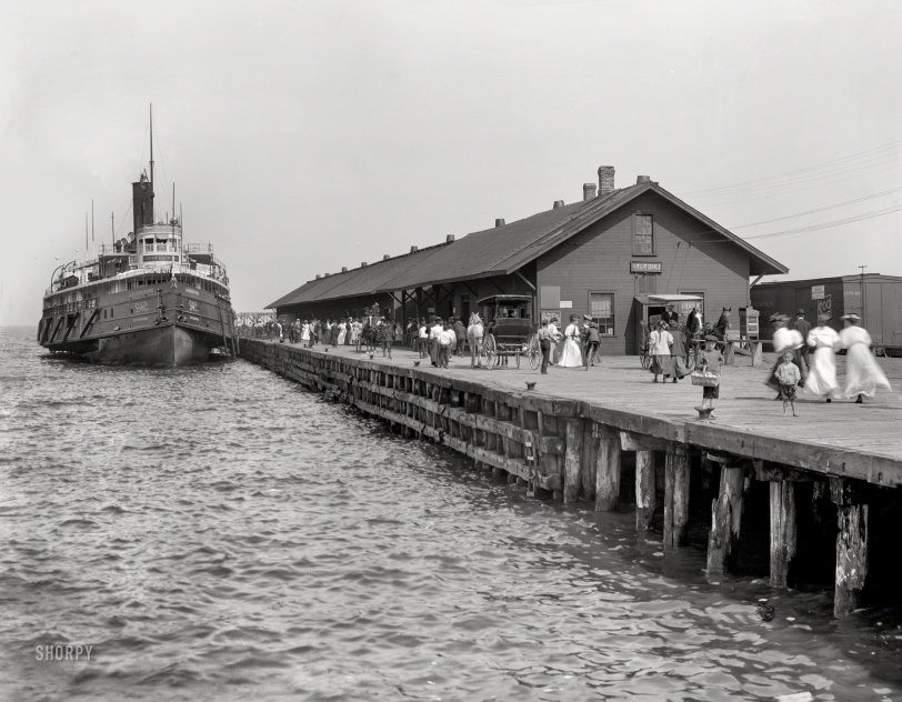 SHORPY 4a24613a.preview