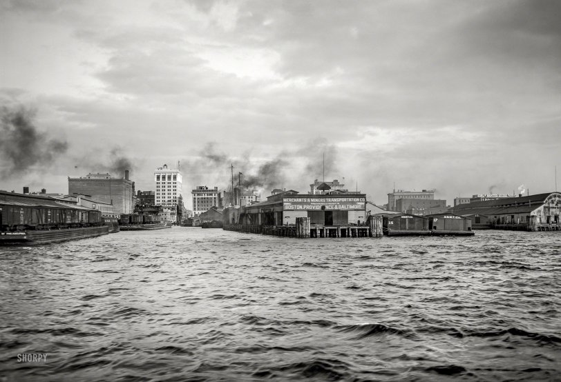 SHORPY 4a24656a.preview