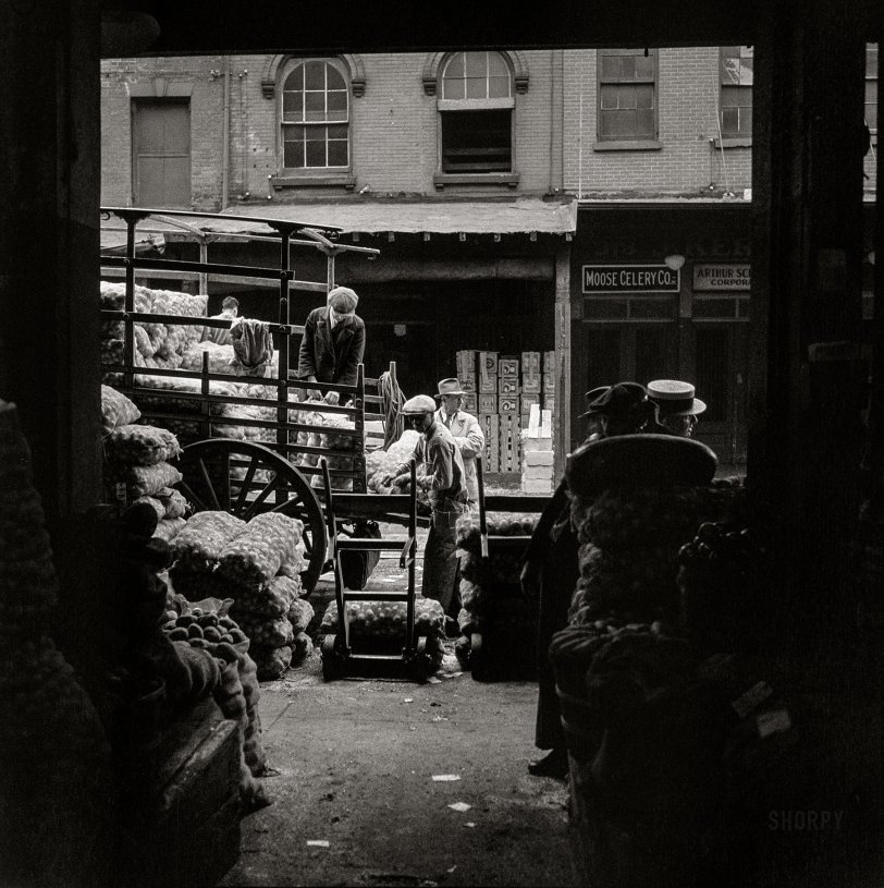 SHORPY 5a30601u1.preview