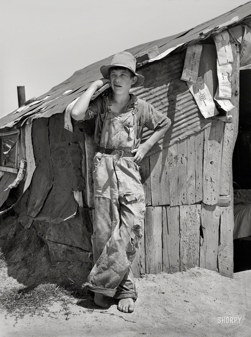 SHORPY 8b22076a.preview