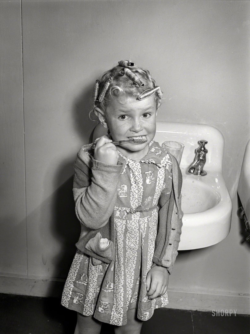 SHORPY 8b37732a.preview