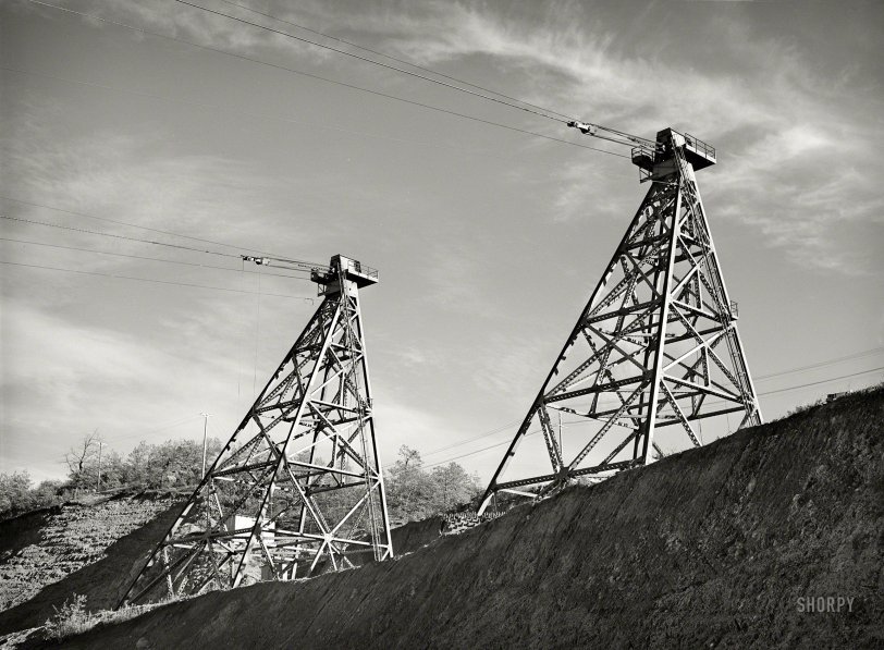 SHORPY 8c00220a.preview