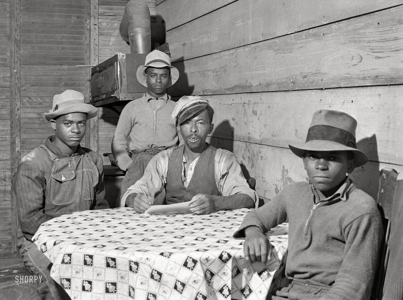 SHORPY 8c02415a.preview