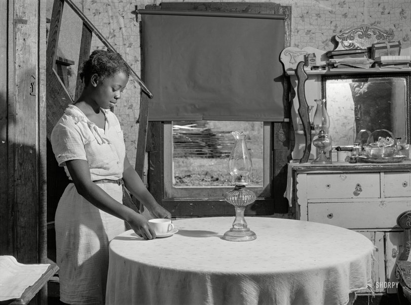 SHORPY 8c02422a.preview