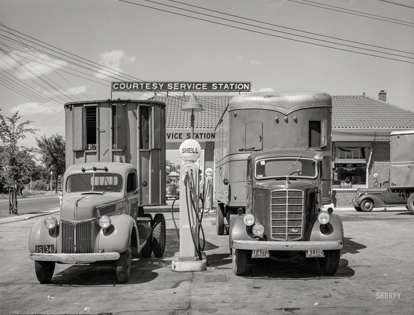 SHORPY 8c02642a.preview