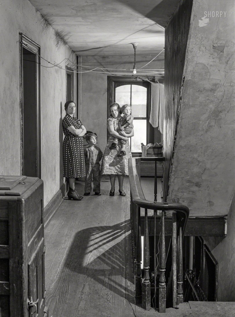 SHORPY 8c04420a.preview