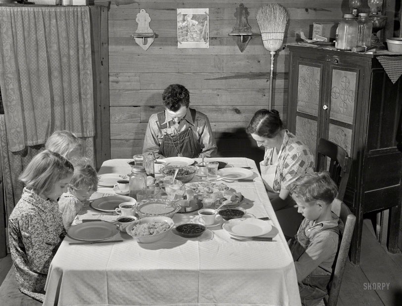 SHORPY 8c05287a.preview