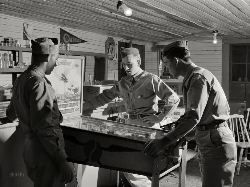 SHORPY 8c05524a.preview