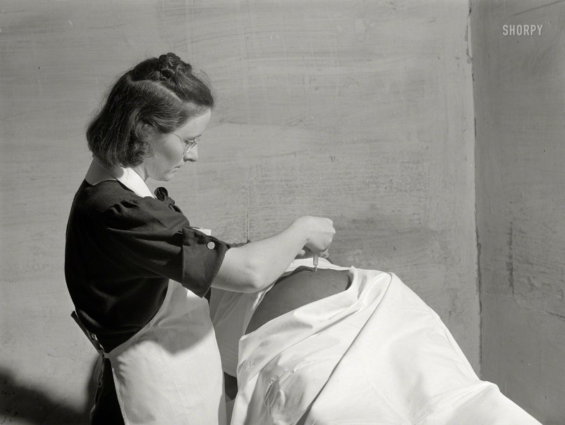 SHORPY 8c05901a.preview