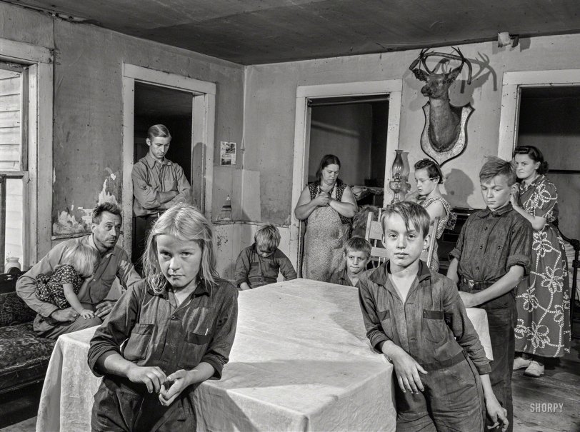 SHORPY 8c06634a.preview