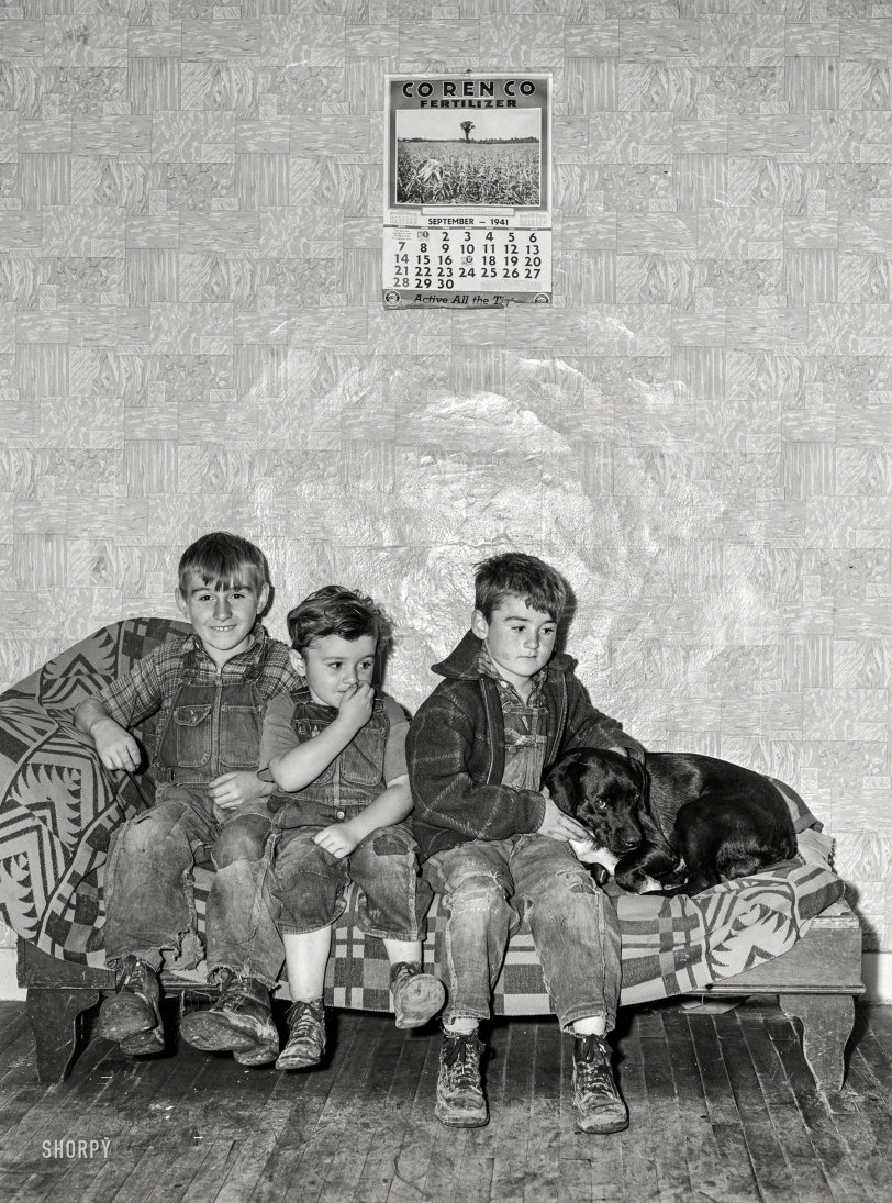 SHORPY 8c06942a.preview