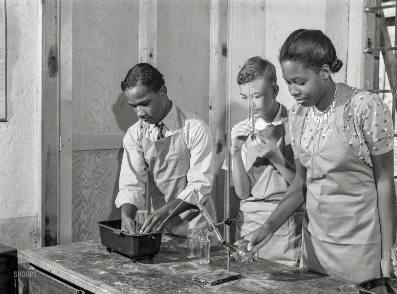 SHORPY 8c35527a.preview