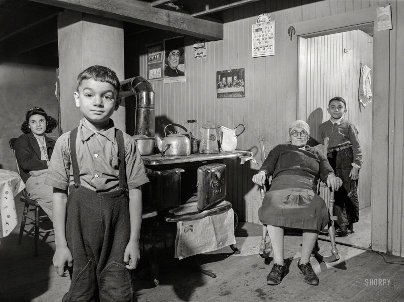 SHORPY 8c36085a.preview