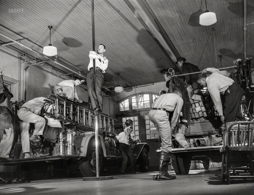 SHORPY 8d11939u.preview