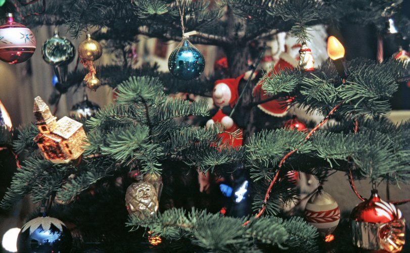 oldschooltree.preview