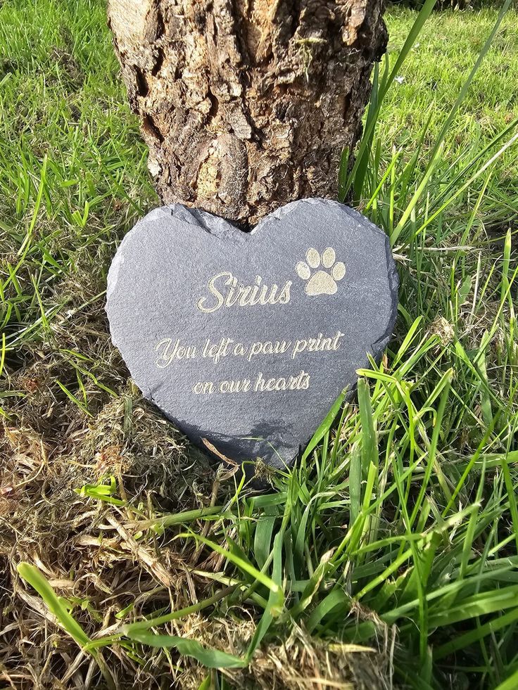 1b9d8b2b0ebabe946a8525e313c1994c