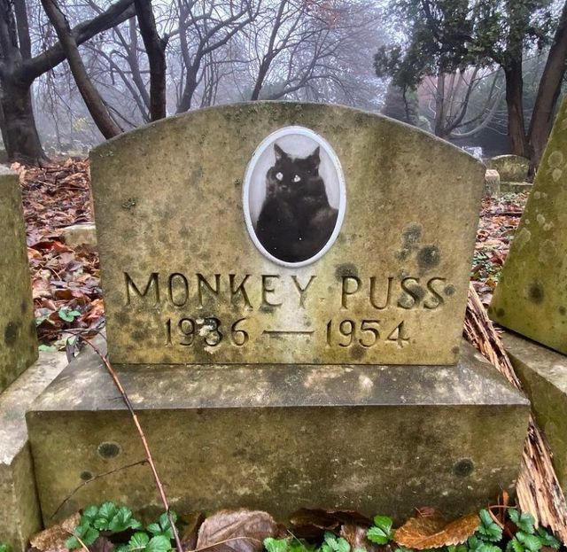 2092434810230d5fc53b8d3f306af0c7