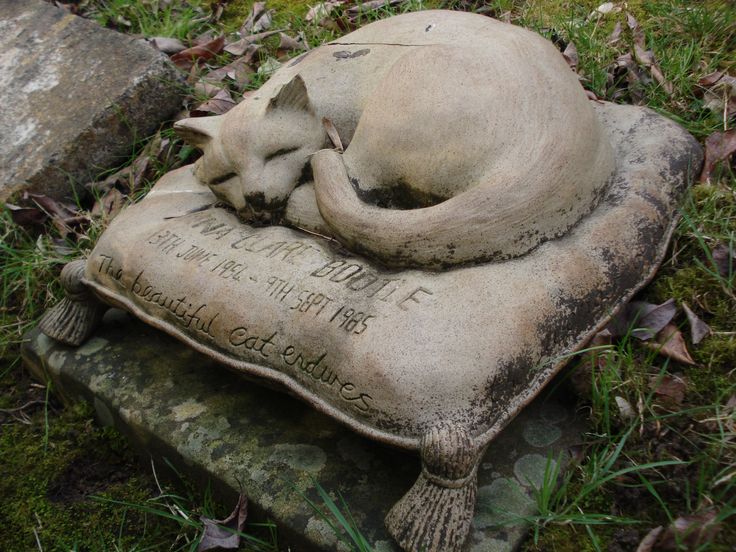 21184e9533484e689952b4f8ce468727