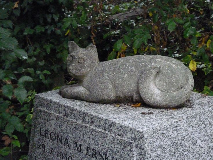 38a4568c6db89afcc7b70a5fcd54589d