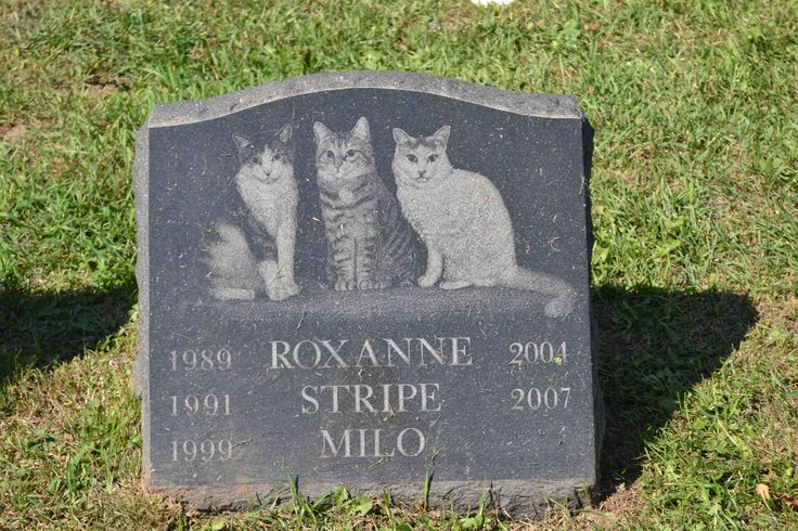 56d20ebe1b80f2bed0e9ea47de67a5dc