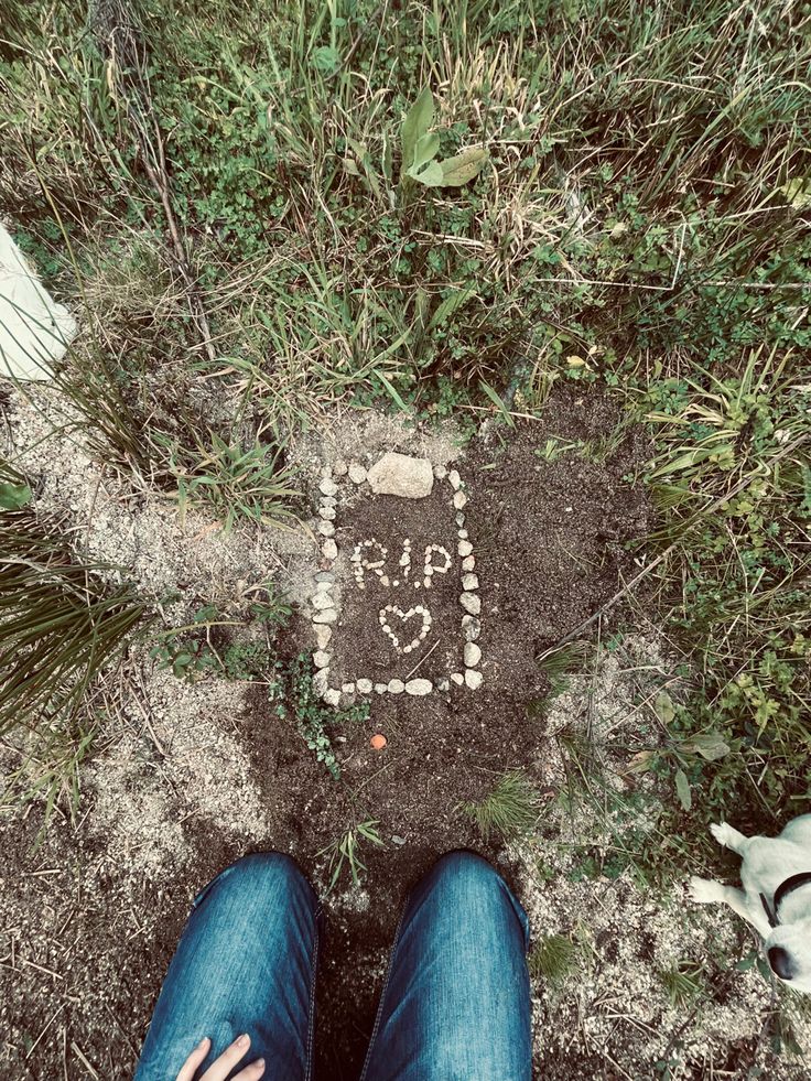 84337068b210e8c78c2d7406589cefce