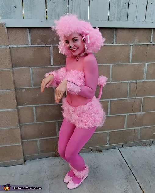 97df03f7c5237a4a4acf22cafc0646e5