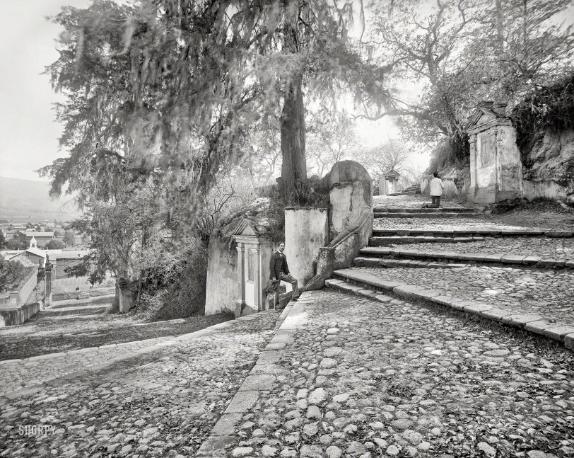 SHORPY 4a03705a.preview