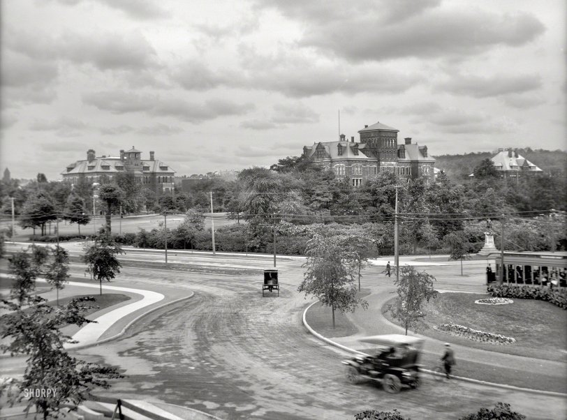 SHORPY 4a22967a1.preview