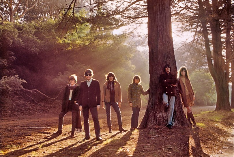 SHORPY 53358a.preview