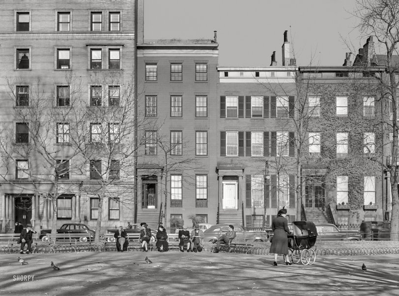 SHORPY 8b14697a.preview