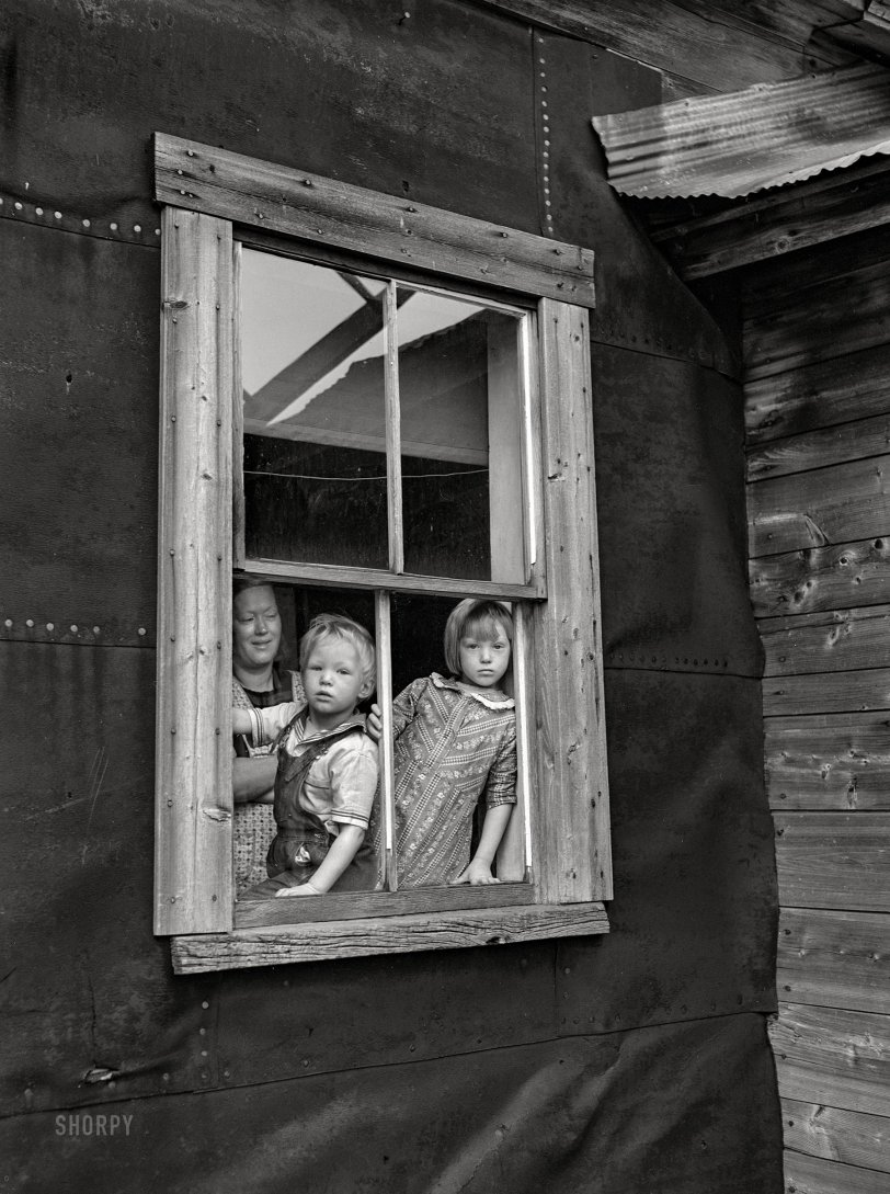 SHORPY 8b16056a.preview